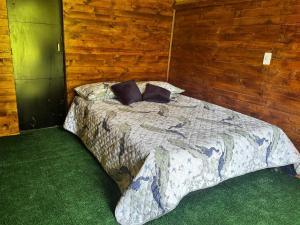 Cabañas del bosque - La casa en la piedra