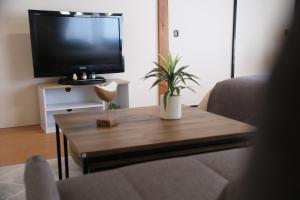 Private 1K Flat with 2 Single beds and sofa-bed, Near Tokyo & Quiet Area, 202
