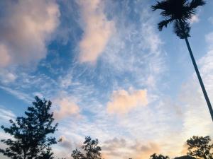thaliya wathuna ella kabana