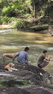 Ban Kham Kee Homestay