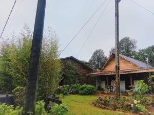 Silonya Forest Edge