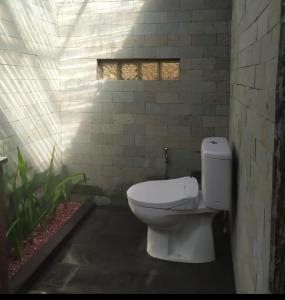 DWan Tea Mountain Side