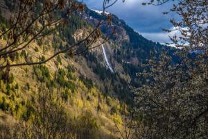 Chalets Chalet Dibona : photos des chambres