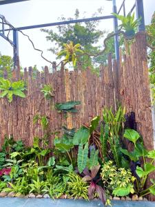 Suri Homestay Mũi Né