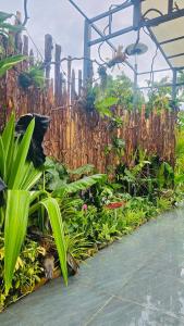 Suri Homestay Mũi Né