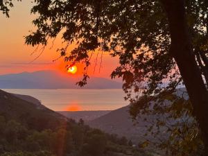 Matias Kastanies Appartements with privat parking