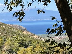 Matias Kastanies 2 Appartements with privat parking