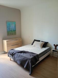 magnifique T4 centre bayonne