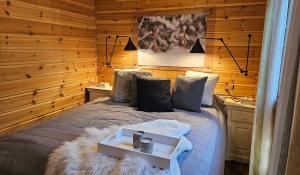 Peaceful Hideaway near Levi Adventures activities