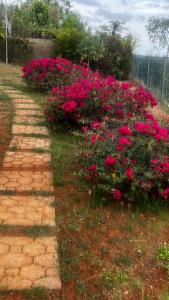 Summerbreeze at Pyramid Point