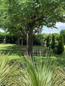La provence avec piscine privative en campagne