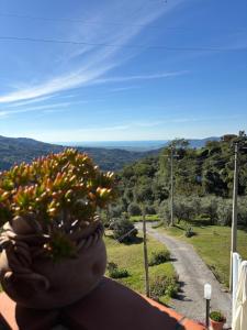 Casa Vacanza Ginevra