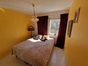 Colorful two-room apartment with parking