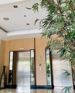 Lovely and Cozy Condo at O Residences