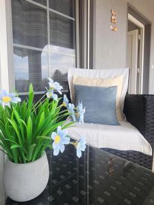 Apartments Rapić