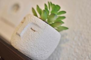 Les Deux Estrades Confort, Panache et Netflix