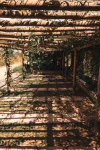 Espaço Canela-de-Ema