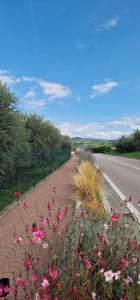 Appartamento Panorama