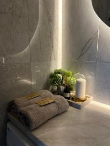 Apartamentai pirmame aukšte, miesto centre