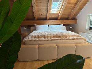 Moderne Ferienwohnung in Immenstadt - Parkplatz & Alpsee nah
