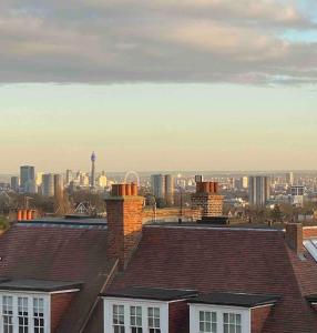 Hampstead Penthouse with world-class London views