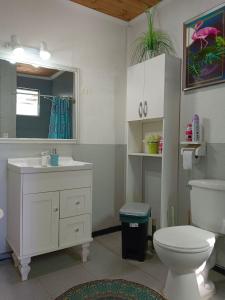 Alto mirador el Quisco