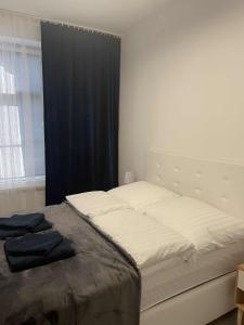 Apartament 11 Wolności