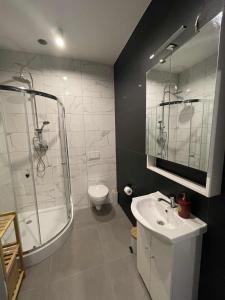 Apartament 11 Wolności