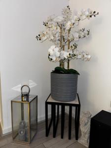 Modern 2-Bed House with Parking Near City & UHW Hosp