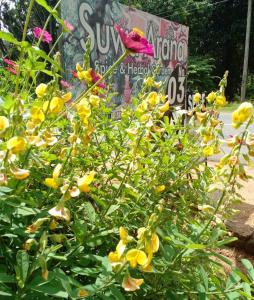 Nethu Herbal Villa