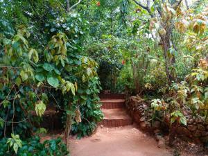 Nethu Herbal Villa