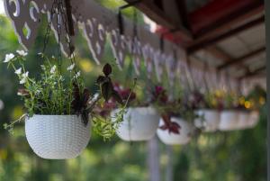 Sampan Stay Jaldapara