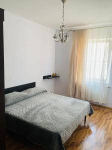 Ovidius apartament