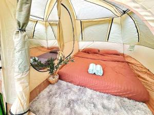 View Khao Camping - วิวเขาแคมป์ปิ้ง เขาค้อ