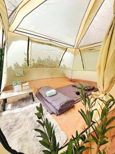 View Khao Camping - วิวเขาแคมป์ปิ้ง เขาค้อ