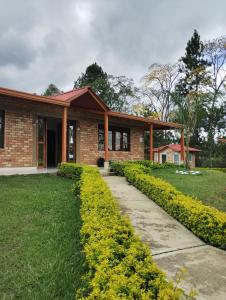 Parcela el privilegio