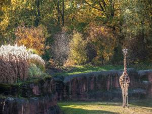 Bungalow in Landgraaf with terrace