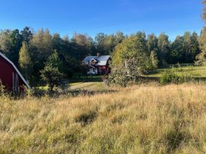 3 bedroom Forest Cabin Retreat in Högsby Småland