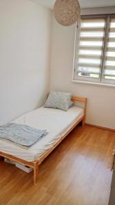 Mansard Crimson Rhapsody