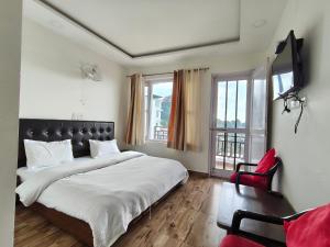 Gliders Inn- Curated by Sukhdev