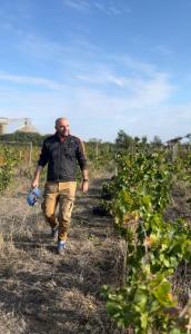 Vinarija Ljutica Winery Ljutica