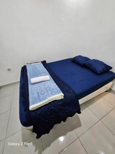 Erigeron homestay dieng