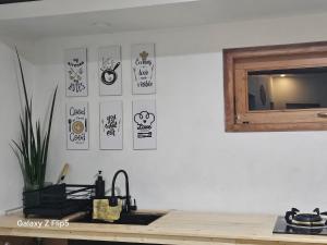 Erigeron homestay dieng