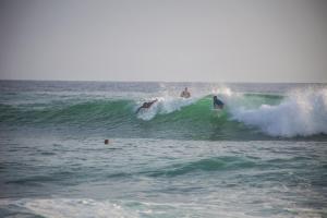 Cocoplant Surf Inn