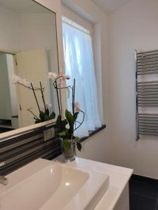 Villa mit 1 Schlafzimmer