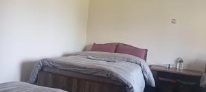 Hotel Himalayan vista