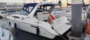 Yatch Boat Hostel