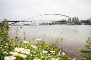 A21 Rhine view condo by the 3-countries-bridge
