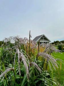 Liepmalas - jaukus namukas Latvijos pajūryje