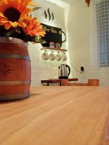 Cabañas en arcos del sitio